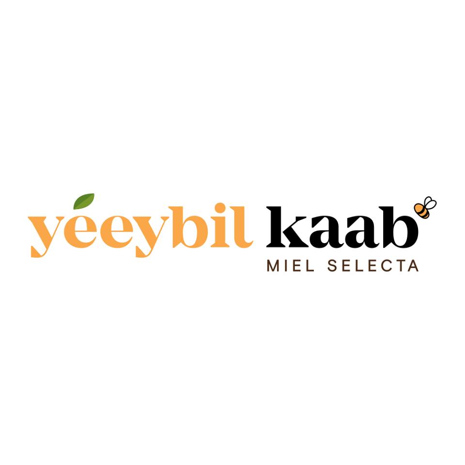 Yéeybil Kaab (Miel selecta), Canasta en Casa