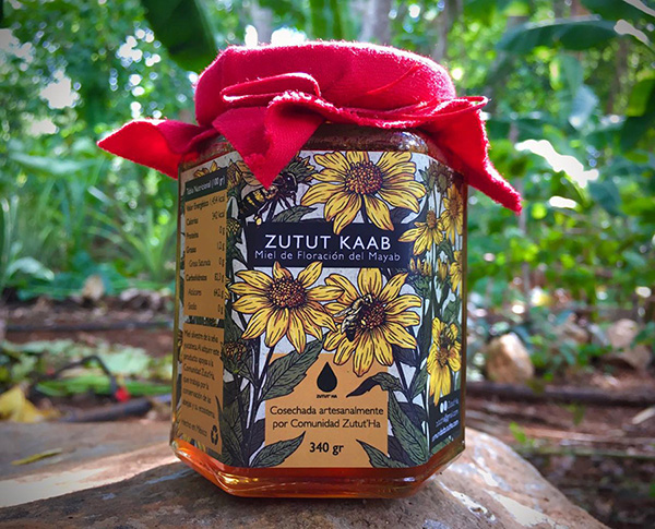 Zutut Kaab: Miel de floración del mayab en canasta en casa