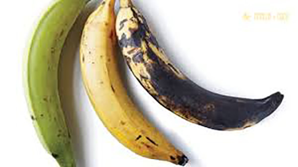 Plátano Macho en canasta en casa