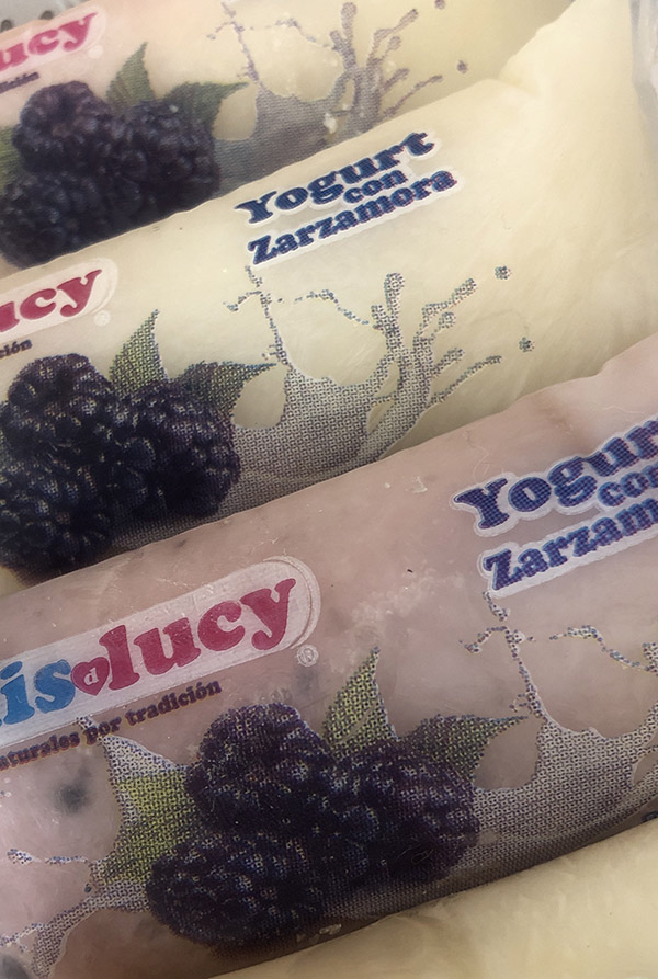 Bolisdlucy Yogurth con Zarzamora en canasta en casa